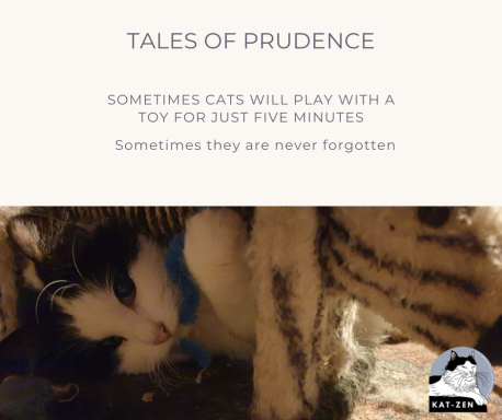 Tales of Prudence